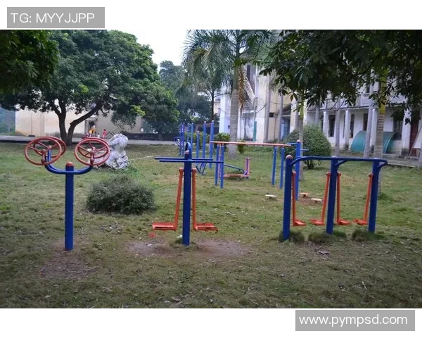 全面解析家用健身器材大全及其使用效果的图片展示与推荐