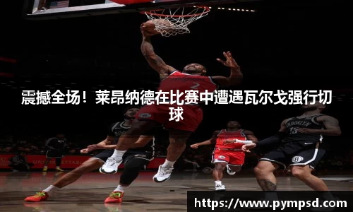 yy易游体育