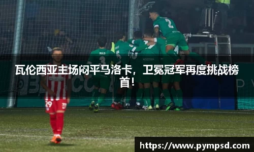 易游YY体育