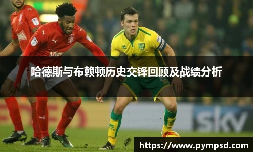 易游YY体育